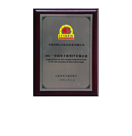 2003����й���������IT��ǿ��ҵ